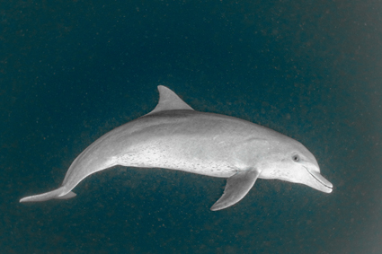 49a2fa182d25387bbdceb5533134199b_전영환 DSC00617.jpg